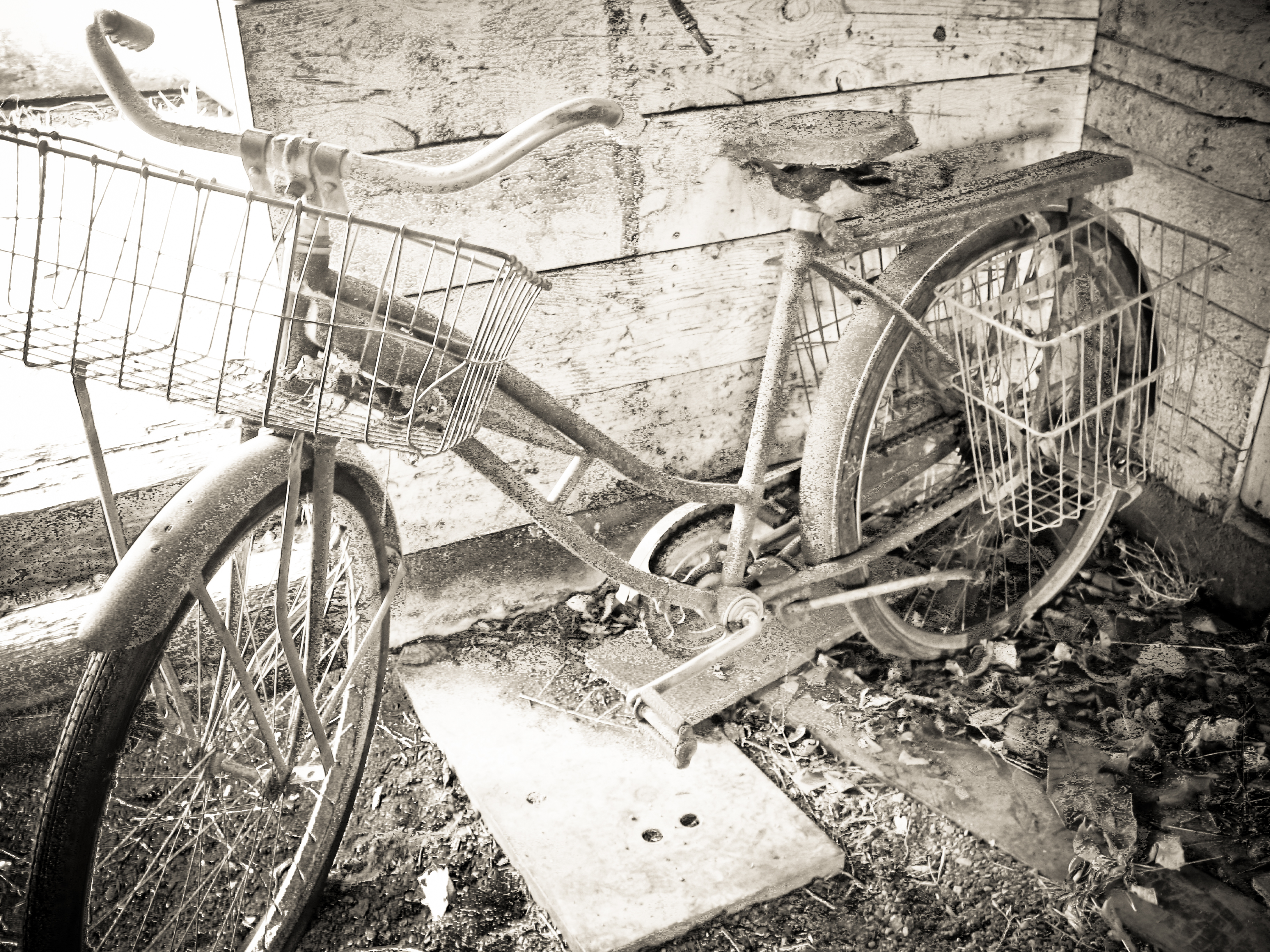 bike_large
