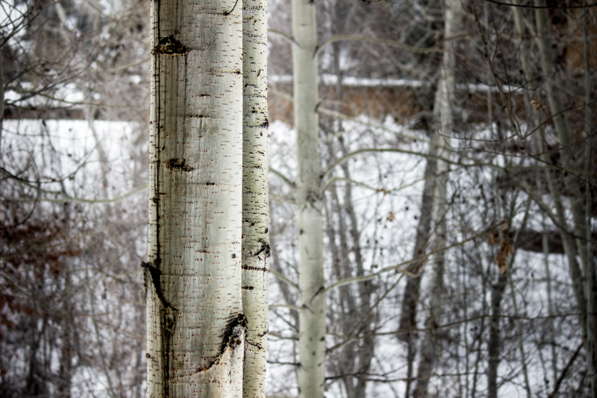 SunValley-5