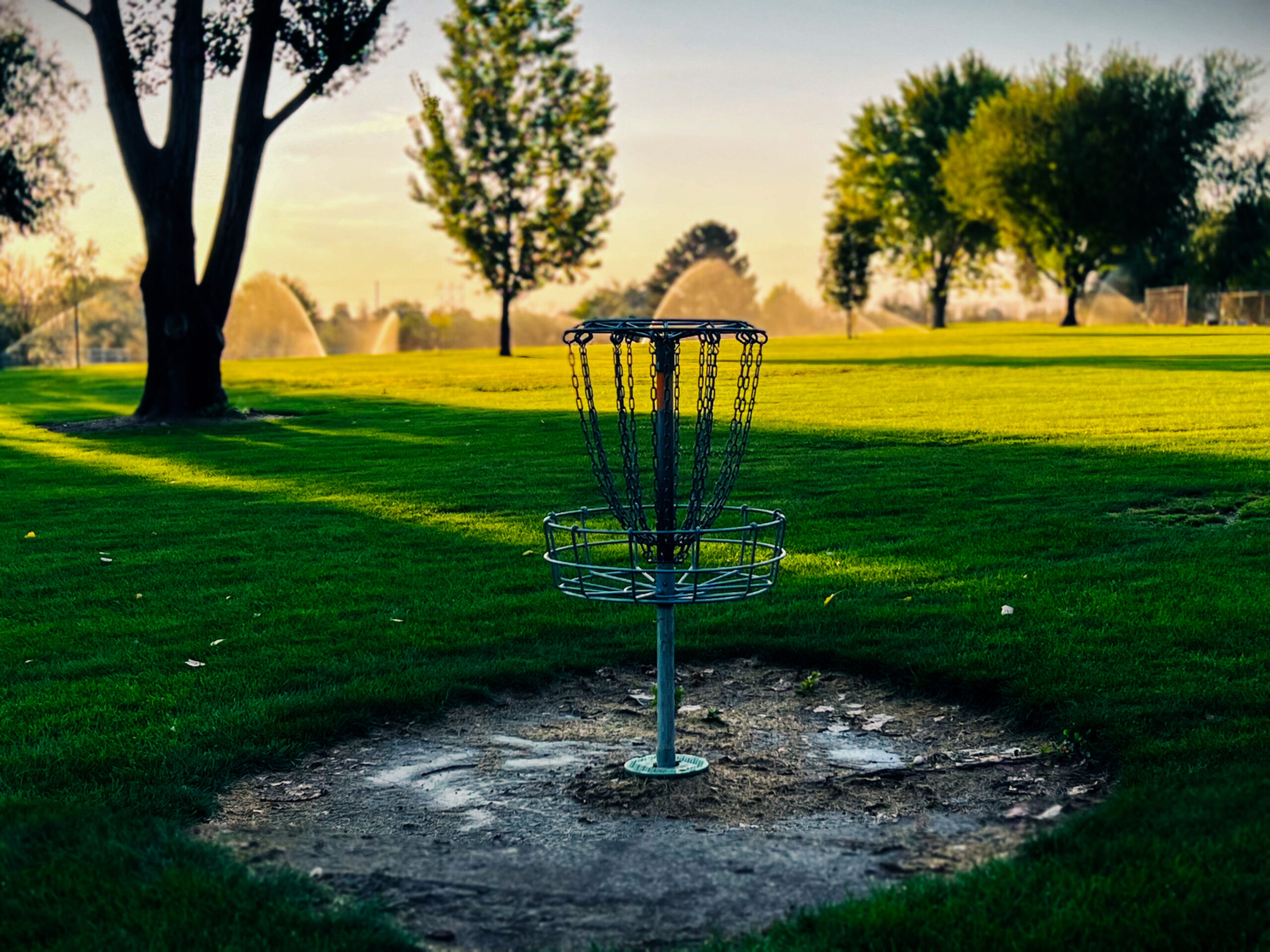 Morning Disc Golf